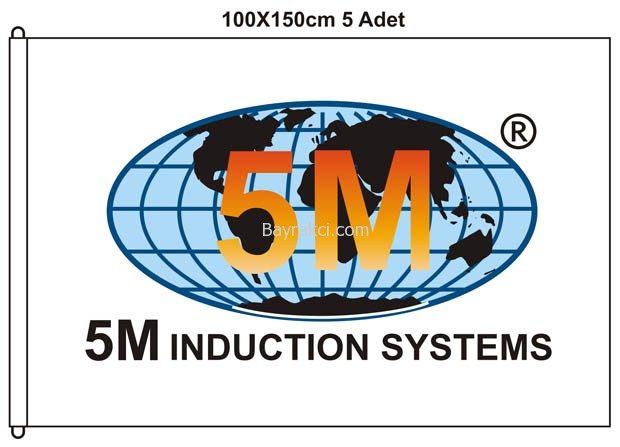 5M-induction-systems
